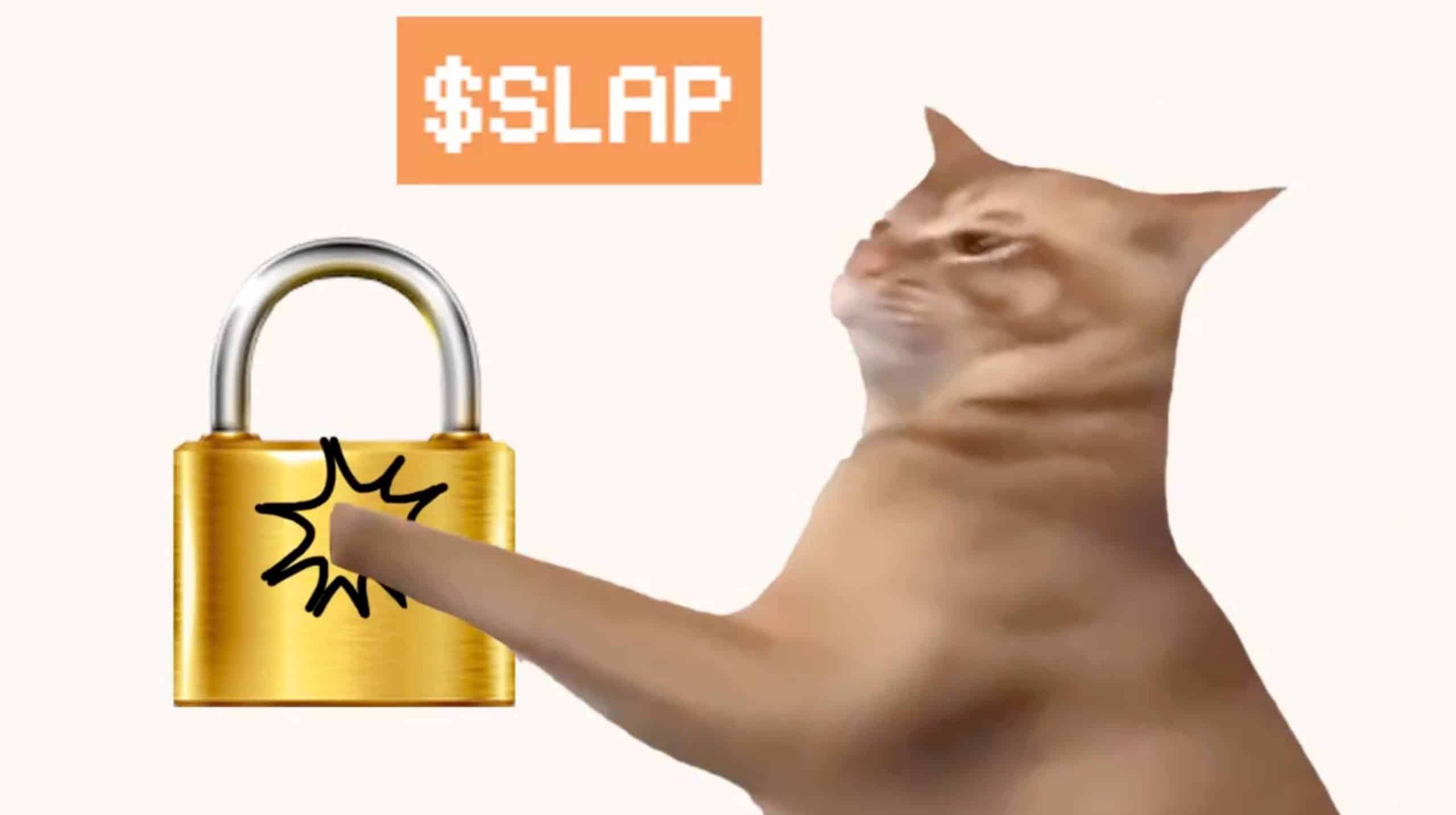 CatSlap